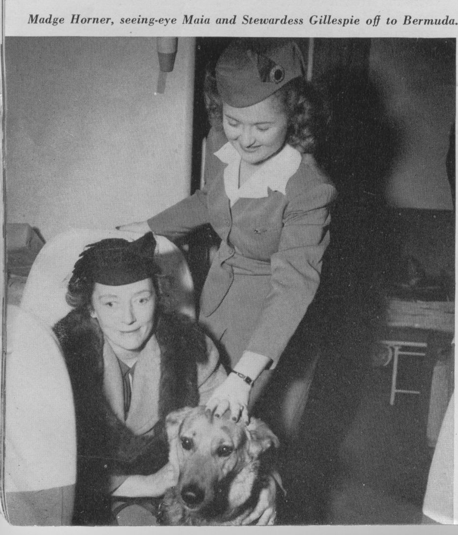1947 Stewardess  assisting a customer with her seeing eye dog.